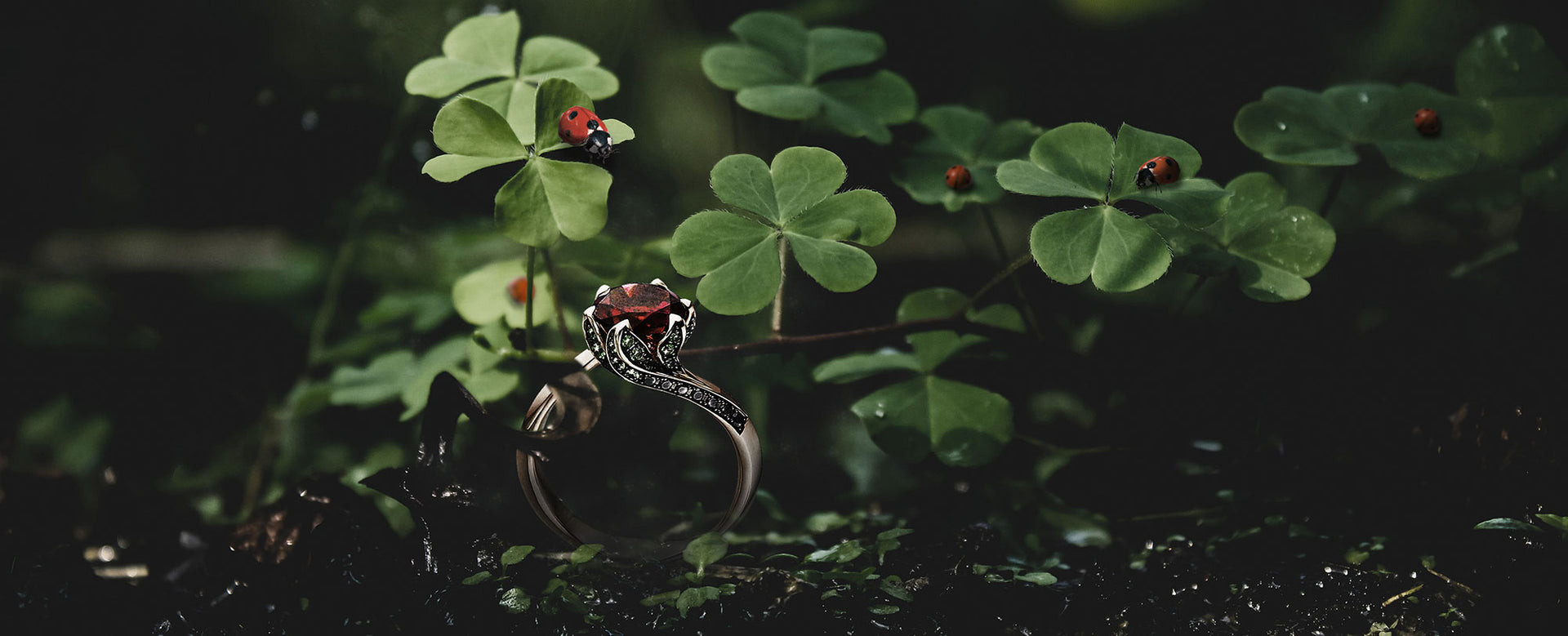 feature-row__image